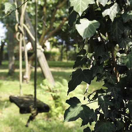 Agriturismo Da Gas San Giorgio In Bosco Exteriér fotografie