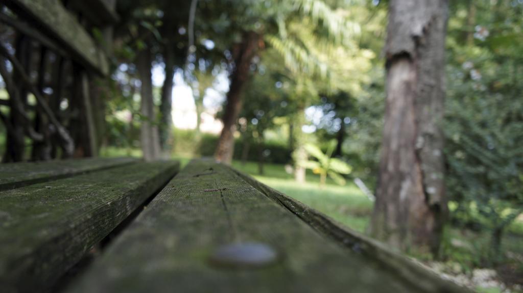 Agriturismo Da Gas San Giorgio In Bosco Exteriér fotografie
